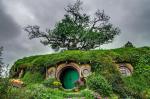 Remigiusz Okraska: Eko-Tolkien