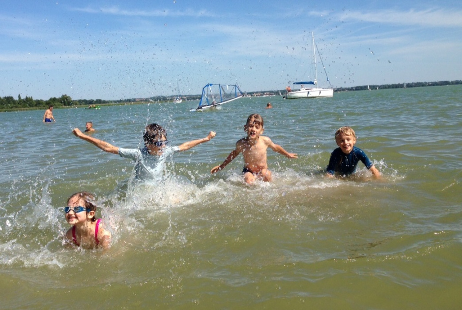Życie na plaży