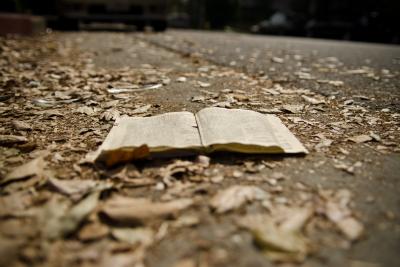 Ingarden i metafizyka literatury. Rozmowa z Wojciechem Chojną