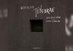 Antonina Karpowicz-Zbińkowska: Graindelavoix, Carlo Gesualdo, „Tenebrae”