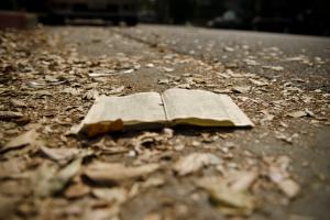 Ingarden i metafizyka literatury. Rozmowa z Wojciechem Chojną