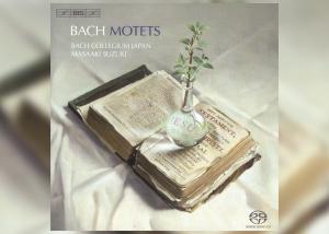 Antonina Karpowicz-Zbińkowska: Bach Collegium Japan, Masaaki Suzuki, J. S. Bach, Motets