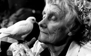 Hanna Dymel-Trzebiatowska: Pisarka stulecia. Fenomen Astrid Lindgren