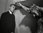 Tomasz P. Terlikowski: Bergman – duchowy syn Lutra