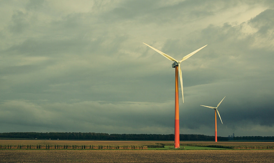 Magdalena Tomala: Państwa nordyckie europejskim liderem w zakresie energii odnawialnej