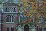 Dariusz Pawelec: Na Harvard z przeszkodami