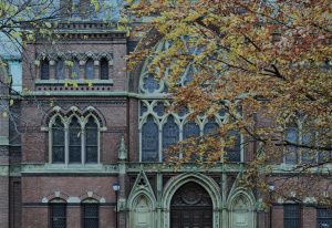 Dariusz Pawelec: Na Harvard z przeszkodami