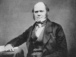 Marek Pąkciński: Darwinizm i jego zniekształcenia
