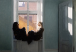 Nick Alm: Panie Kant – odpowiadam! [zaproszenie]