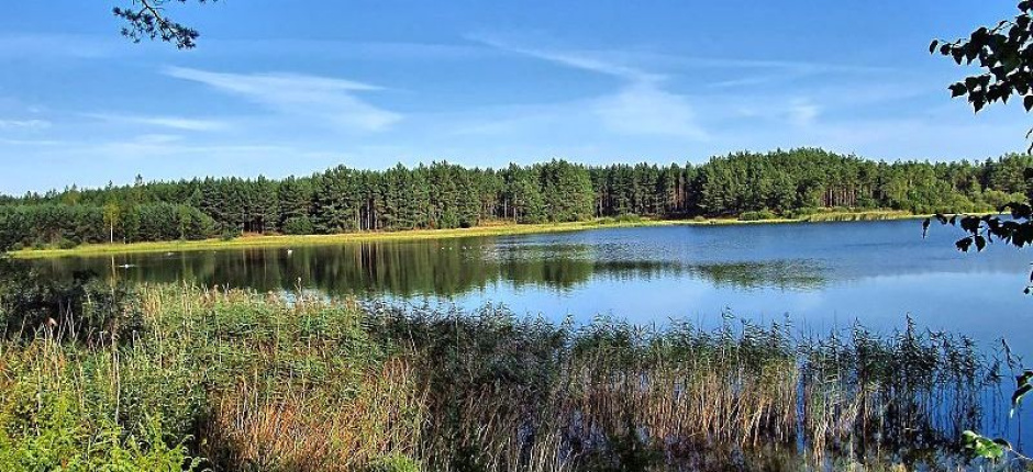 Jakub Dybek: Rozmowy polskie latem roku 2013