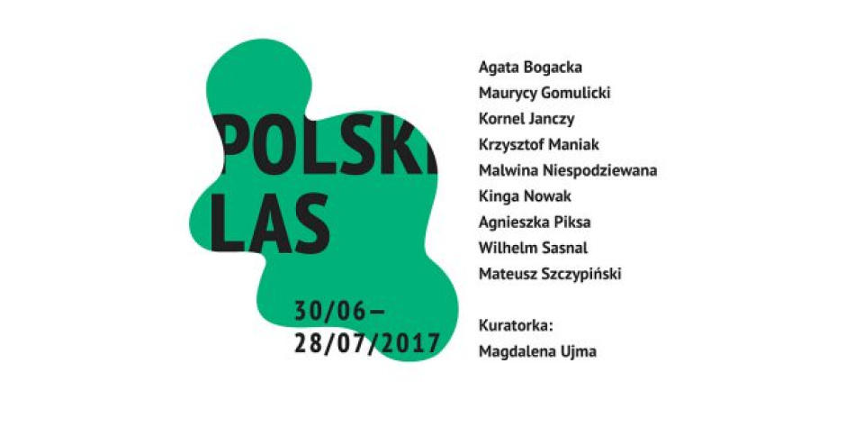 Juliusz Gałkowski: Kraj-obraz? O „Polskim lesie” w Galerii Białej