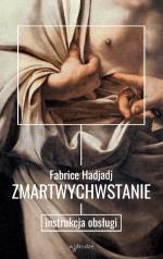 Zmartwychwstanie. Instrukcja obsługi - Fabrice Hadjadj